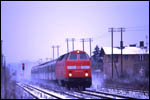 219 009 passiert den Bahnhof Seelow-Gusow